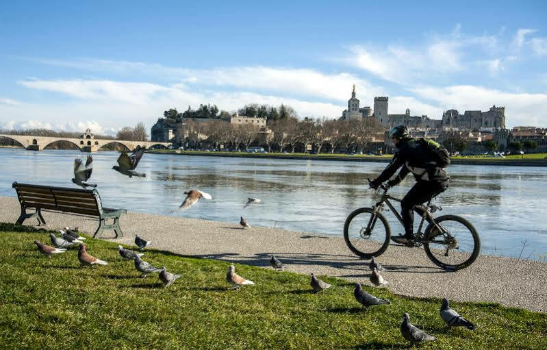 Brit Sud Le Calendal Avignon